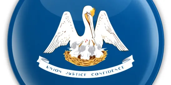 Louisiana electronically adjudicated insurance claims
