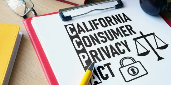 AI Regulation in California New Hampshire EU Laws 