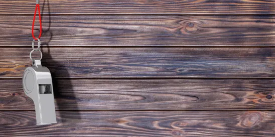 SEC Whistleblower Protections