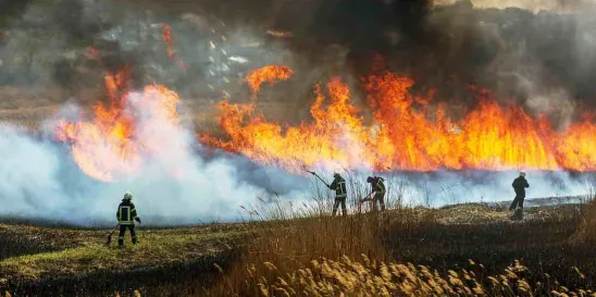fireman in a controlled burn in Washington State