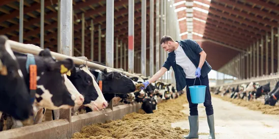 Missouri Livestock Act California Proposition 12