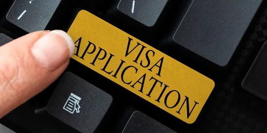 Department of State Visa Pilot