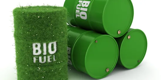 Bipartisan Biofuel Legislation