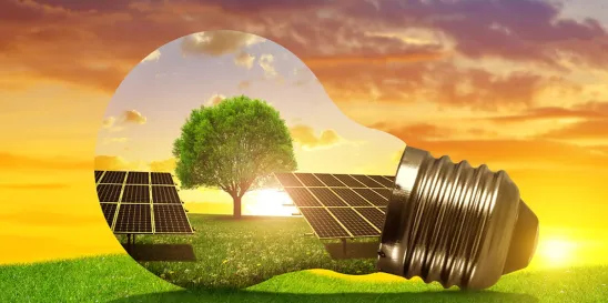 Renewable Energy Local Challenges