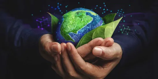Major Company Climate Disclosures