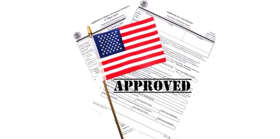 Stateside Visa Revalidation Pilot Program