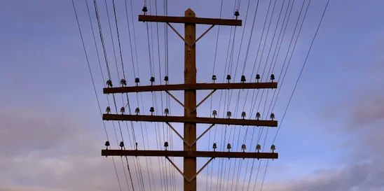 FL Pole Attachment Regulations