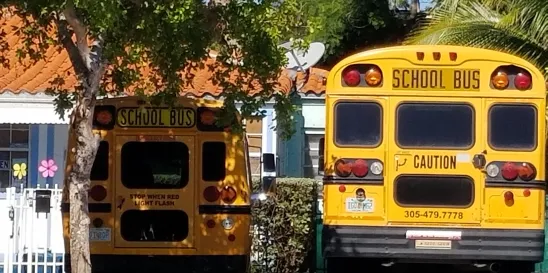  Michigan School District Sinking Funds