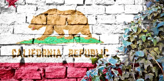 CA sexual harassment appeal complaint motion judgment
