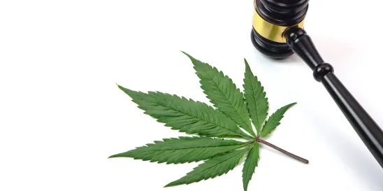Congress Includes Psychedelic Provisions in Bill 