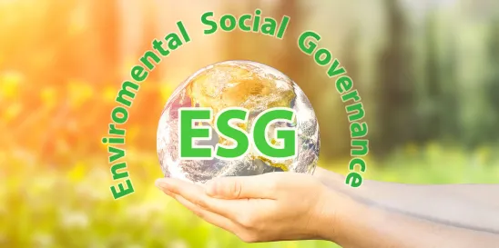 Environmental Social Governance ESG Statement Issues