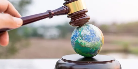 January 2024 Energy and Sustainability Update