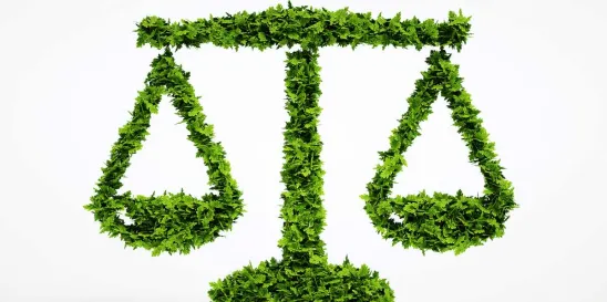 Climate Change Litigation Moving Ahead