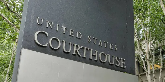 Result Display Ineligible for Patent Protection