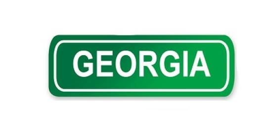Legislative Day 2 for Georgia 