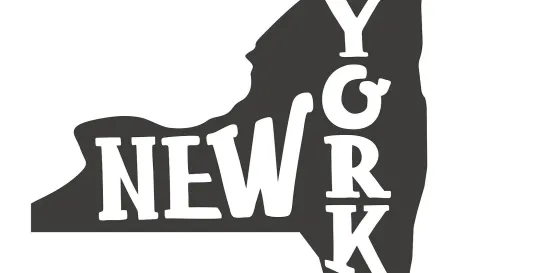 New York Labor Law Pay Frequency Right of Action
