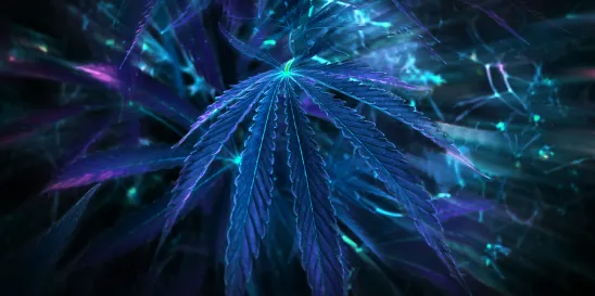 2023 Momentous Year for Psychedelics