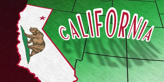 California Stuffed Laws Section 9 of the California Constitution