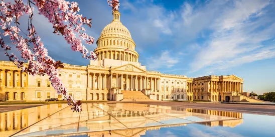 Washington DC in the late summer while regulating employment