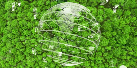 California Environmental Quality Act Overview from 2023