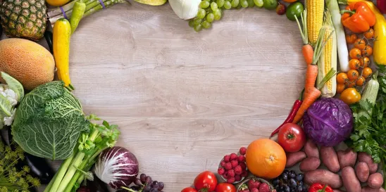 U.S. Food and Drug Administration Food Program Guidance