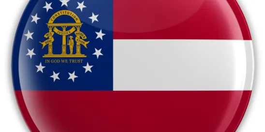 Georgia Bid Protests