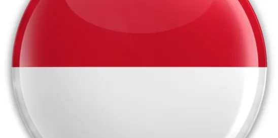 Indonesia online website future visa applications