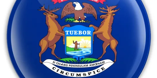 Michigan Property Owners Surplus Value