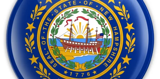 New Hampshire ESG Funds Criteria
