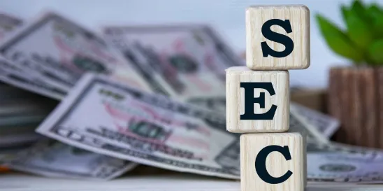 SEC Investment Adviser 2024 Regulatory Changes