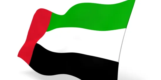 Visa Transfer Applications in Dubai Suspended