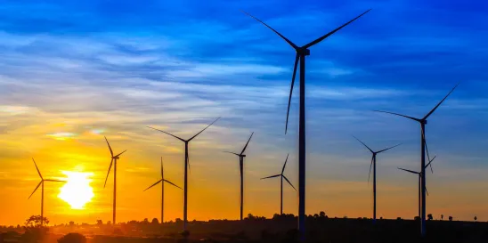 Court Orders Removal of Wind Turbines