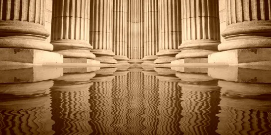 Deloitte Consulting LLP and Softrams LLC Bid Protests