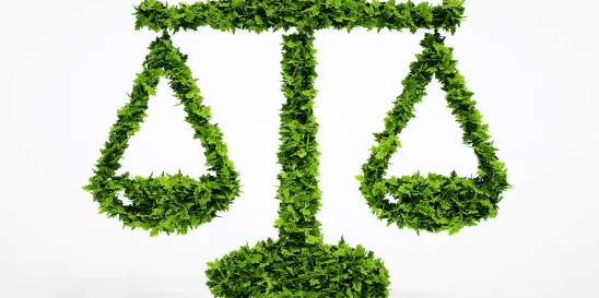 Energy and Sustainability February 2024 Litigation