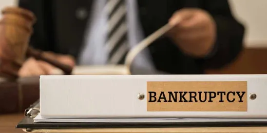 Chapter 7 Chapter 11 Bankruptcy Alert