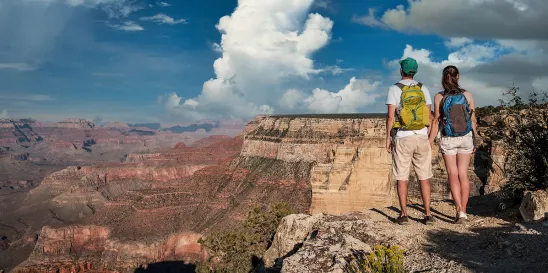 Arizona Appellate Court Tax Ruling 