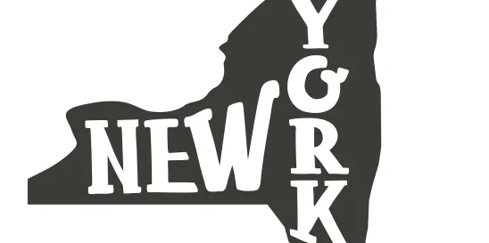 NYDFS AI and External Consumer Data Use