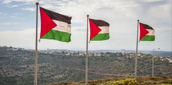 Deferred Enforced Departure Palestine 