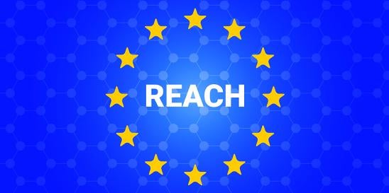 REACH Registrations and ECHA