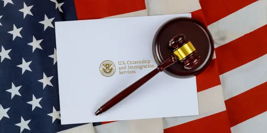 USCIS March 2024 Chart B AOS Filings