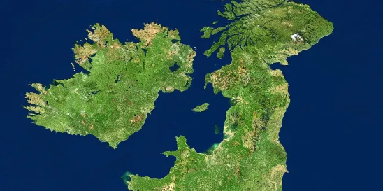 UK Company Restructuring Plans Post-Adler
