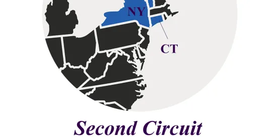  Murray v. UBS Securities Second Circuit 