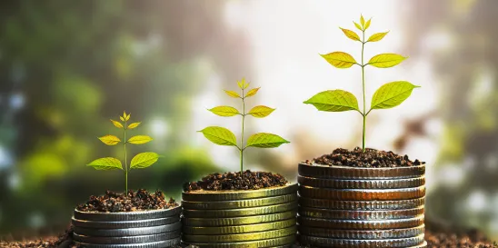Climate Related Financial Disclosure Launched in Australia