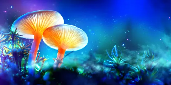 Psilocybin Implications for Depression Patients