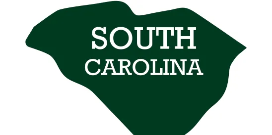 New Reporting Requirements for South Carolina Employers