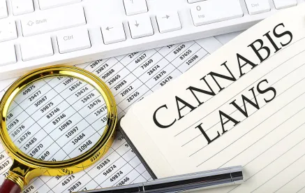 hemp farm bill cannabis risks 