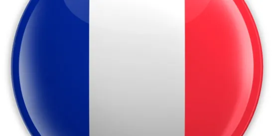 French Labor Law 2024 Update