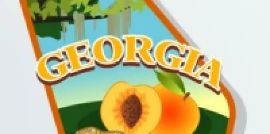 Georgia Gold Dome Report Day 27