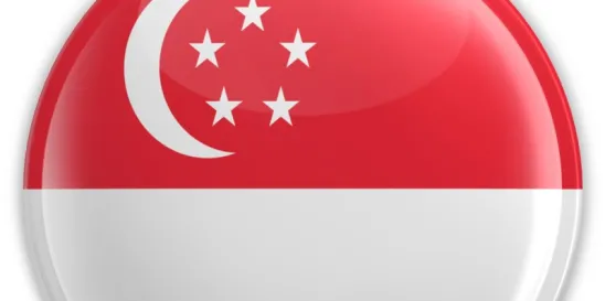 Significant Investments Review Bill