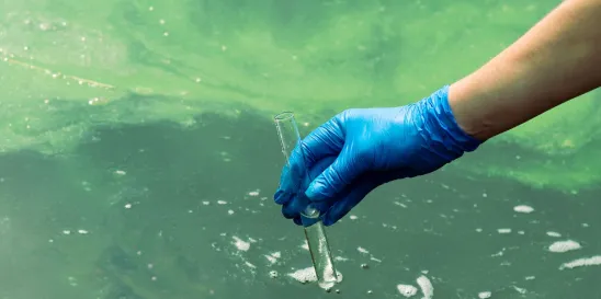 EPA Quinone Water Testing Method for Widespread Use Released